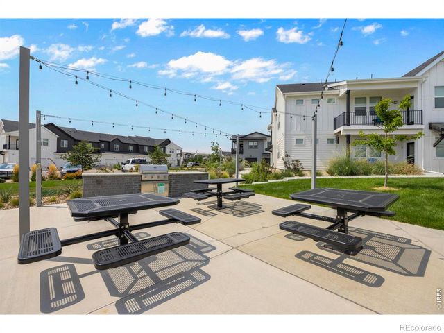 2102 Setting Sun Drive 4, Windsor, CO 80550