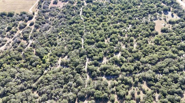 Lot 110 Davenport Road, Palo Pinto, TX 76484