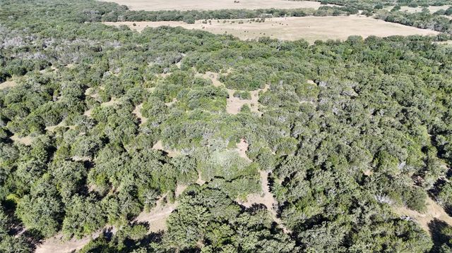 Lot 110 Davenport Road, Palo Pinto, TX 76484