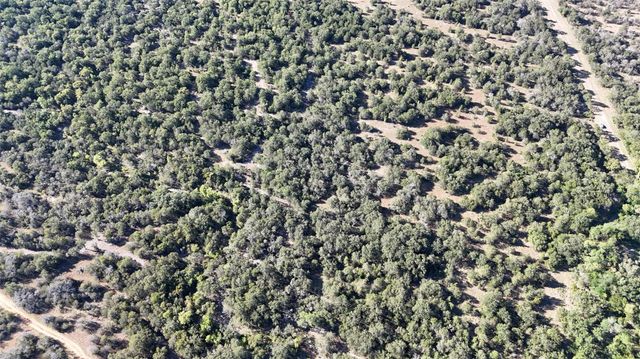 Lot 110 Davenport Road, Palo Pinto, TX 76484