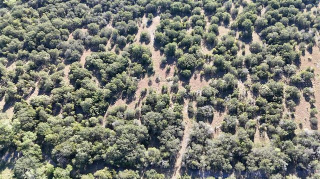 Lot 110 Davenport Road, Palo Pinto, TX 76484