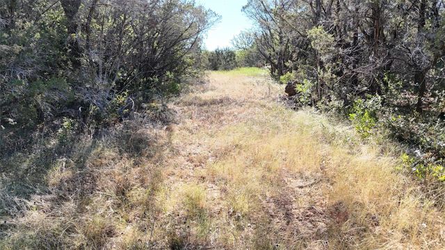 Lot 110 Davenport Road, Palo Pinto, TX 76484
