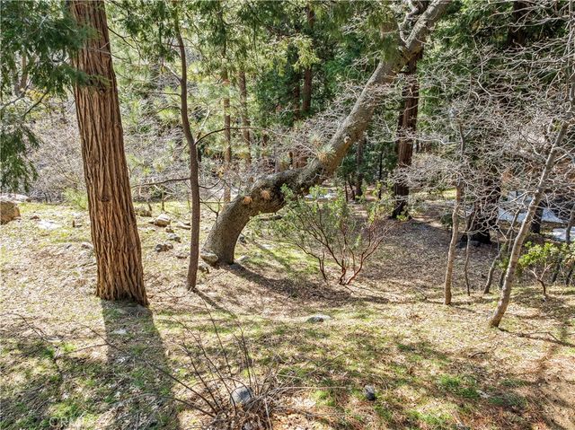 27391 Alpen, Lake Arrowhead, CA 92352