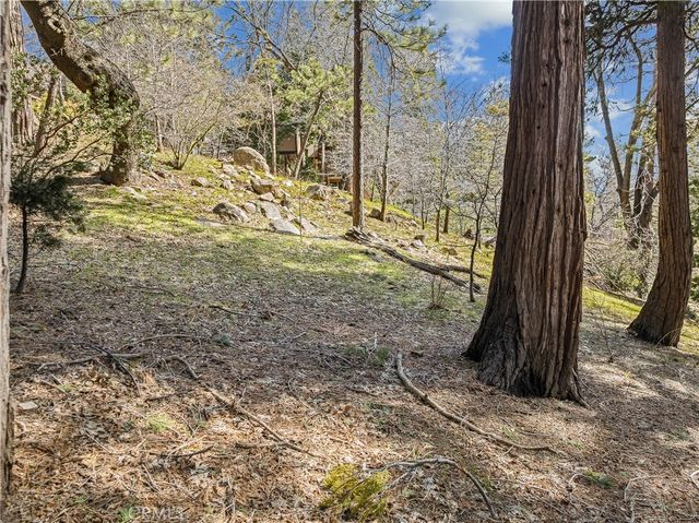 27391 Alpen, Lake Arrowhead, CA 92352