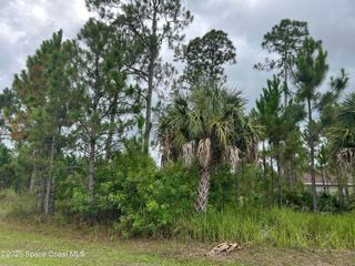 1690 Weiman Road SE, Palm Bay, FL 32909