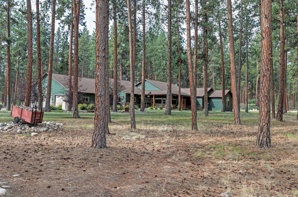 123 Mountain Goat Road, Hamilton, MT 59840 photo 2