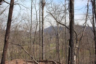 Lot 83A Licklog Ridge, Hayesville, NC 28904