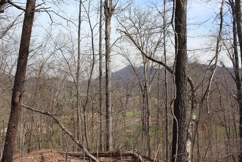 Lot 83A Licklog Ridge, Hayesville, NC 28904