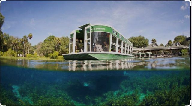 2845 NE 104TH AVENUE, Silver Springs, FL 34488