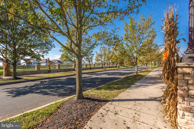 20876 BRUNSWICK LN, Millsboro, DE 19966