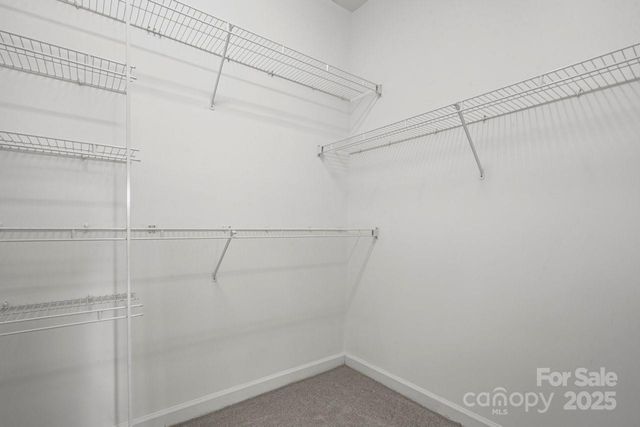 12326 Ashleigh Oaks Court, Charlotte, NC 28273