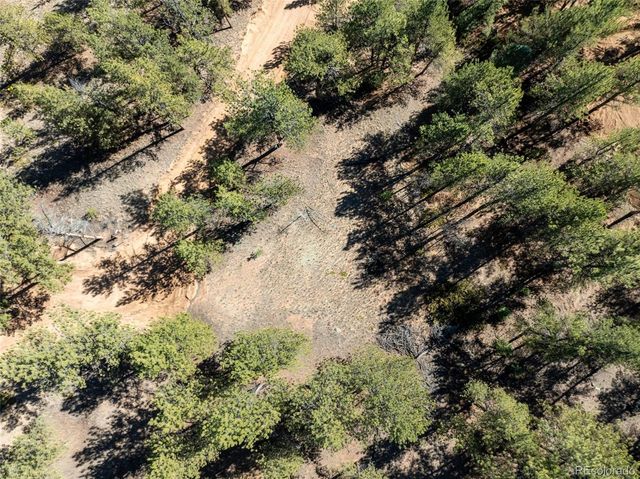 457 Stonehenge Drive, Florissant, CO 80816