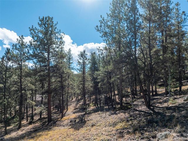 457 Stonehenge Drive, Florissant, CO 80816