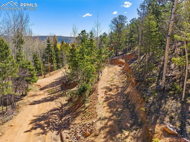 413 Wakanda Trail, Woodland Park, CO 80863