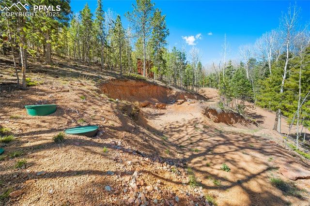 413 Wakanda Trail, Woodland Park, CO 80863