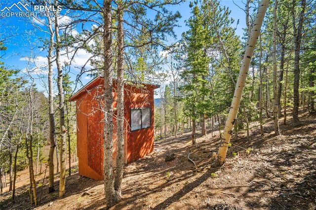 413 Wakanda Trail, Woodland Park, CO 80863