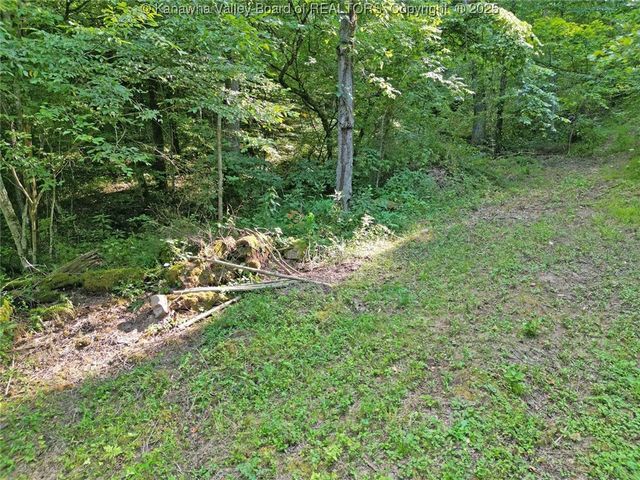 50A Island Branch, Charleston, WV 25320