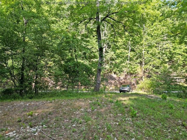 50A Island Branch, Charleston, WV 25320