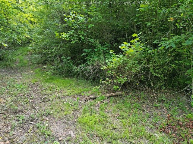 50A Island Branch, Charleston, WV 25320