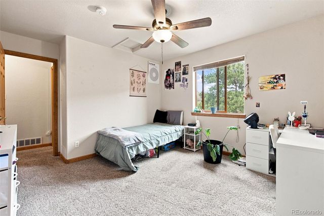 173 Wisp Creek Drive, Bailey, CO 80421