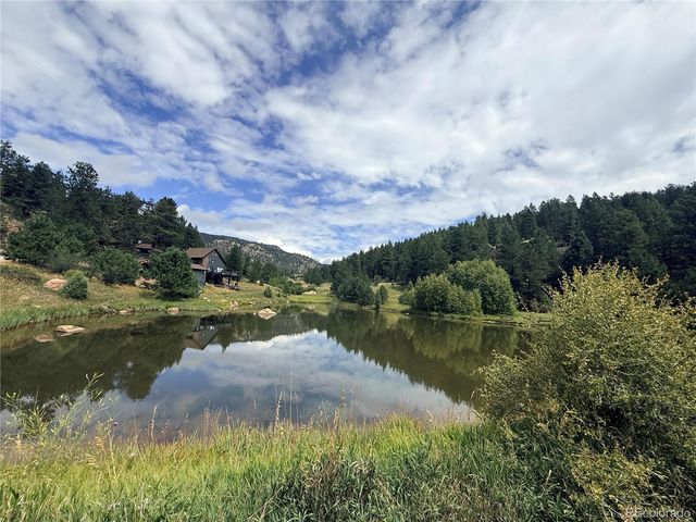 173 Wisp Creek Drive, Bailey, CO 80421