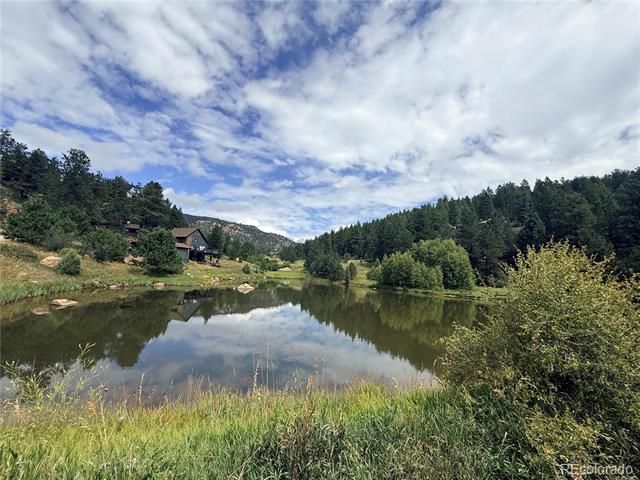 173 Wisp Creek Drive, Bailey, CO 80421