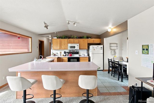 173 Wisp Creek Drive, Bailey, CO 80421