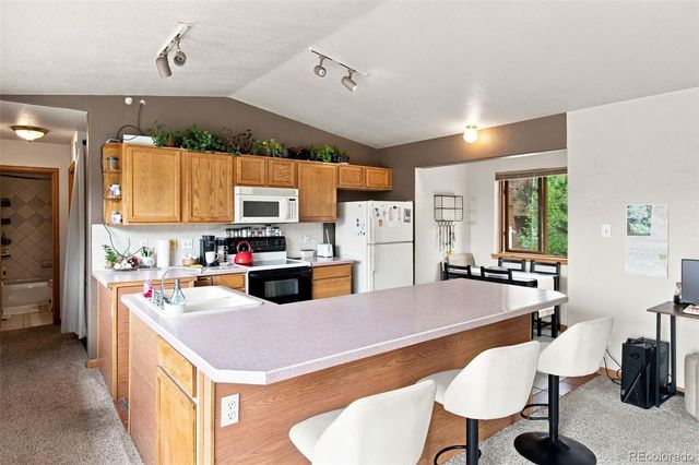 173 Wisp Creek Drive, Bailey, CO 80421
