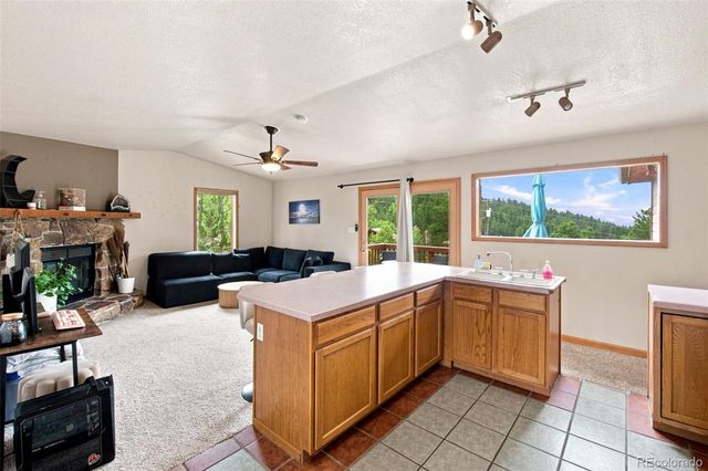 173 Wisp Creek Drive, Bailey, CO 80421