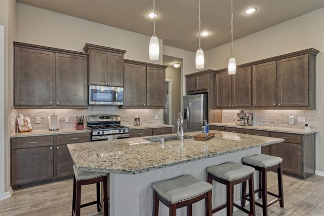 10070 Black Maple Drive, Conroe, TX 77385