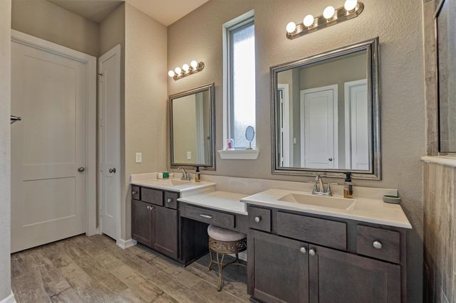 10070 Black Maple Drive, Conroe, TX 77385