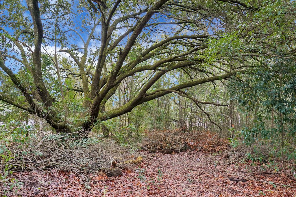 Image 4 of property listing at 429 Sandhill Road, Dorchester, SC 29437