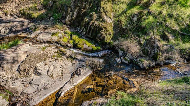 418 Corral Loop, Angels Camp, CA 95222