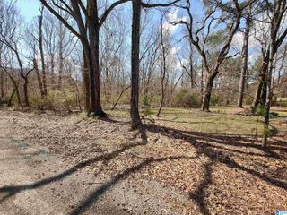 0 MEADOW CIRCLE, Sylacauga, AL 35150
