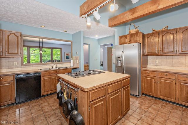 15490 Riddle Road, Chagrin Falls, OH 44022