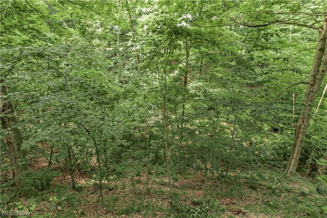 15490 Riddle Road, Chagrin Falls, OH 44022