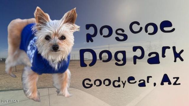 2266 N 157TH Drive, Goodyear, AZ 85395