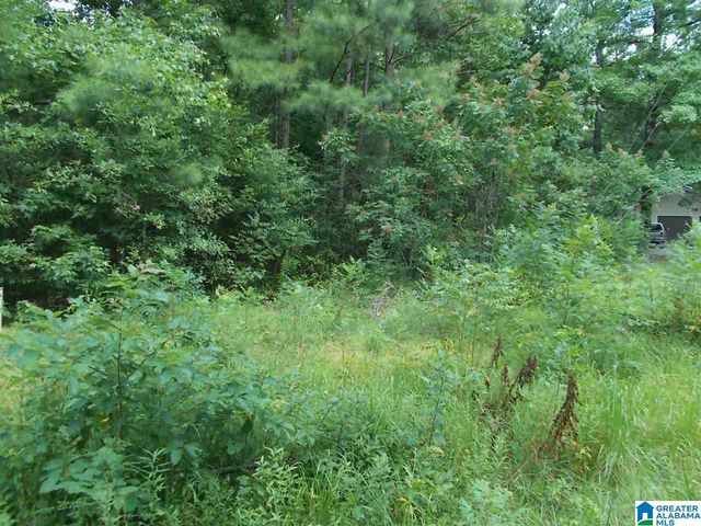 VALLEY TRAIL, Warrior, AL 35180