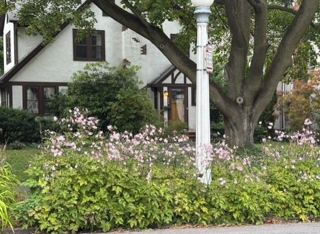 275 Yarmouth Road, Rochester, NY 14610