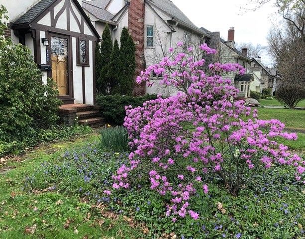 275 Yarmouth Road, Rochester, NY 14610