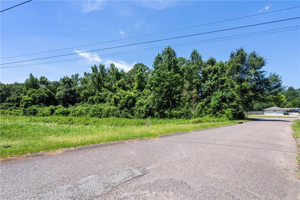 0 Mcfarland Road, Mobile, AL 36695 — photo 4