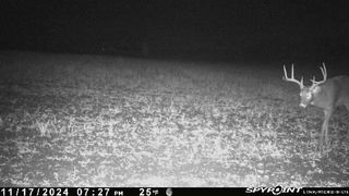 E21504 Karow Road, Augusta, WI 54722