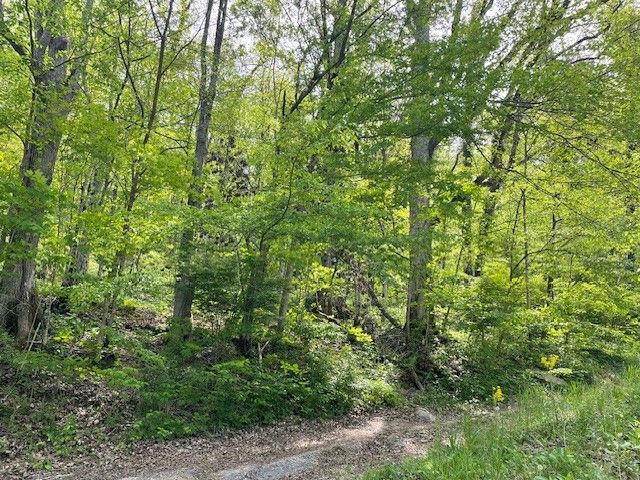 0 Bruer Dr, Smithville, TN 37166