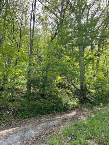0 Bruer Dr, Smithville, TN 37166
