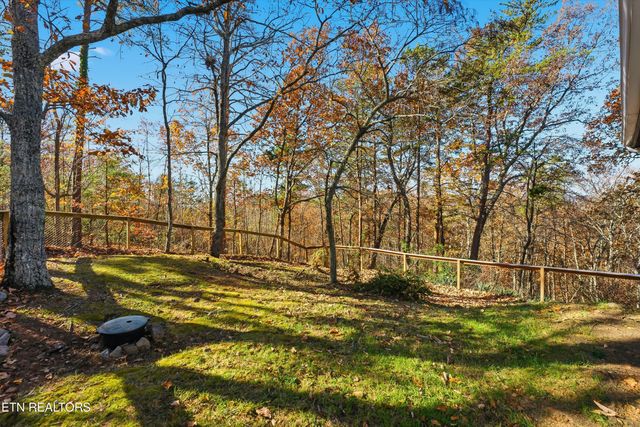 254 Laurel Mountain Rd, Madisonville, TN 37354