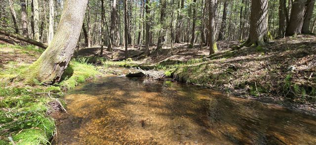 26 Beckys Hill Road, Hurleyville, NY 12747