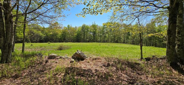 26 Beckys Hill Road, Hurleyville, NY 12747