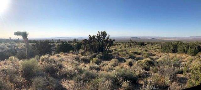 223 Avenue Y14, Llano, CA 93544