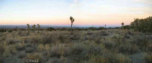 223 Avenue Y14, Llano, CA 93544