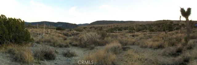 223 Avenue Y14, Llano, CA 93544